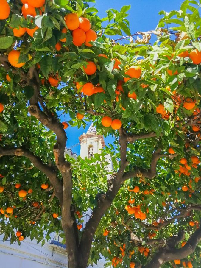 Escape To Estepona Eksteriør bilde